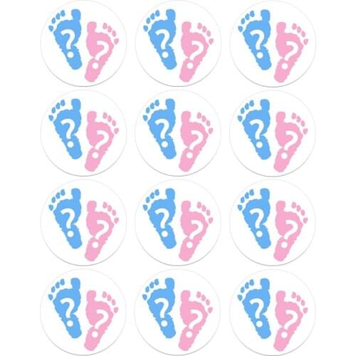 24/48pcs Team Boy Team Girl Gender Reveal Stickers Boy or Girl He or She Tags Labels Party Decoration Baby Shower Supplies