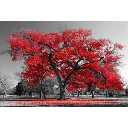 Red tree black and white background picture Art Film Print Silk Poster for Your Home Wall Decor 24x36inch