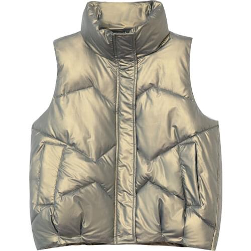 2021 New Short Stand Collar Gloosy Parka Vest Winter Waistcoat For Women Casual Sleeveless Warm Thick Parka Coat