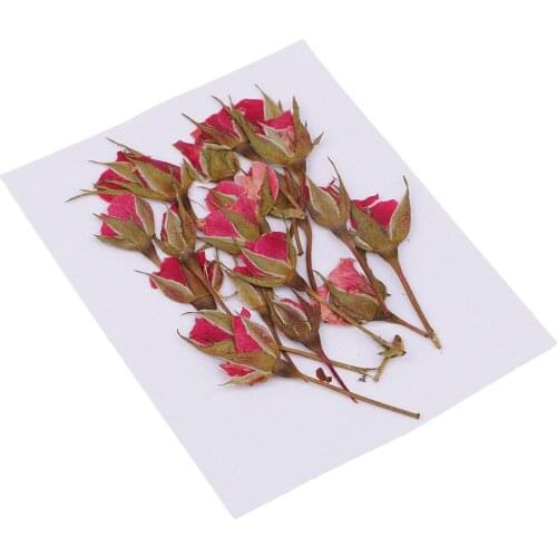 20Pcs Natrual Pressed Dried Flower for DIY Jewelry Making Pendants Resin Casting