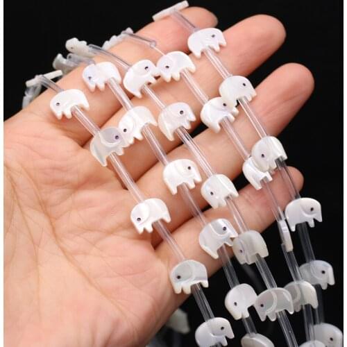 10pcs/lot Natural Shell Animals Beaded Cute Pigg White Shell Loose Beads for Making DIY Jewerly Necklace Accessories Gift 8x10mm
