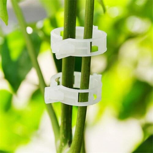 Garden Plant Supports Plastic Clips Ring Connects Vine Trellis Clips Fastener Protection Grafting Tied Fixture Vegetable Tomato