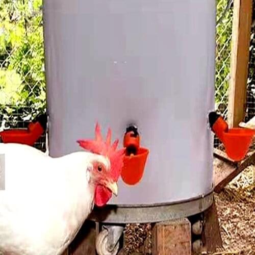 Poultry Drinker Fully Automatic Plastic Suitable for Feeding Poultry Chickens and Pigeons UD88