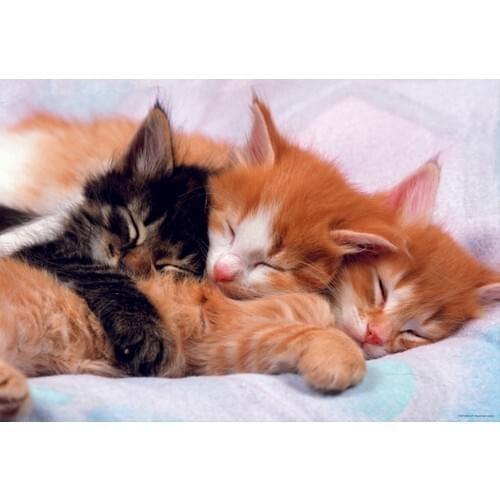 Heidi Oyuncak/Educa Puzzle Children's Puzzles