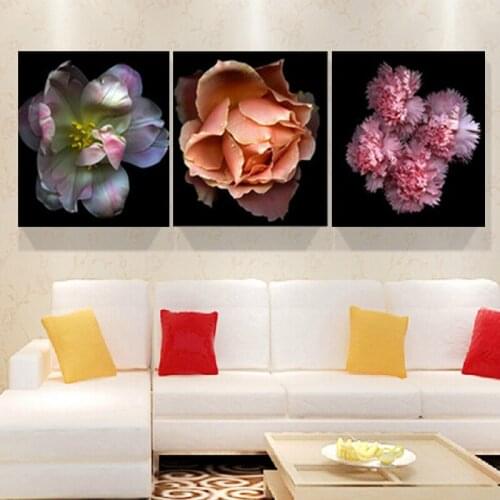 Picture Canvas Painting Home Decor Wall Art Wall Pictures For Living Room Cuadros Wall Decor 3D abstract painting No frame