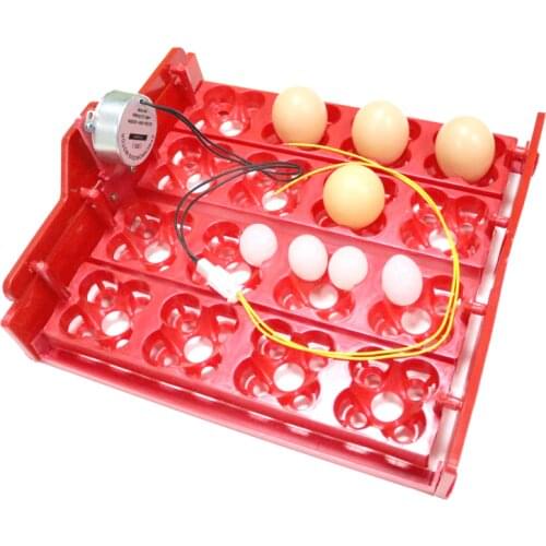 Quail Incubator 16 Eggs Or 64 Birds Eggs Automaticturn Eggs Tray Hand Incubator Accessories Laboratory Incubators