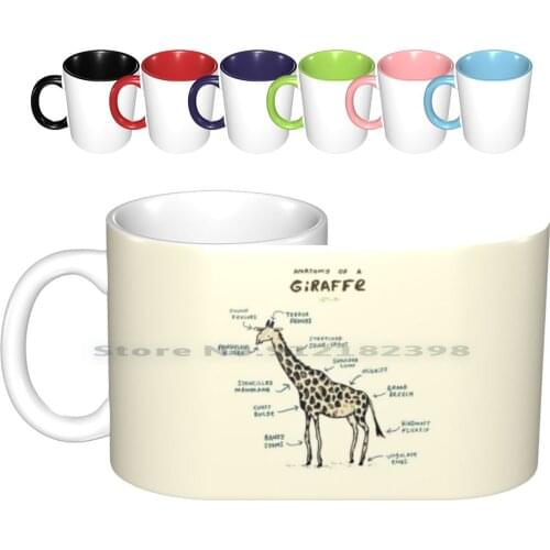 Anatomy Of A Giraffe Ceramic Mugs Coffee Cups Milk Tea Mug Anatomy Giraffe Neck Pattern Funny Silly Cute Children Birthday
