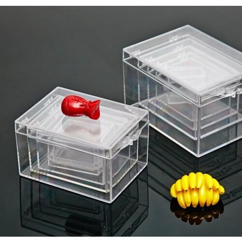 Transparent Small Plastic Box Rectangular Insect Shell Specimen Collection Display Box Desktop Storage Box Jewelry Organizer
