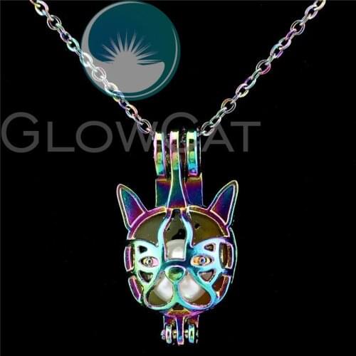 C690 Rainbow Color Dog Heads Beads Cage Perfume Essential Oil Diffuser Oyster Pearl Cage Locket Necklace
