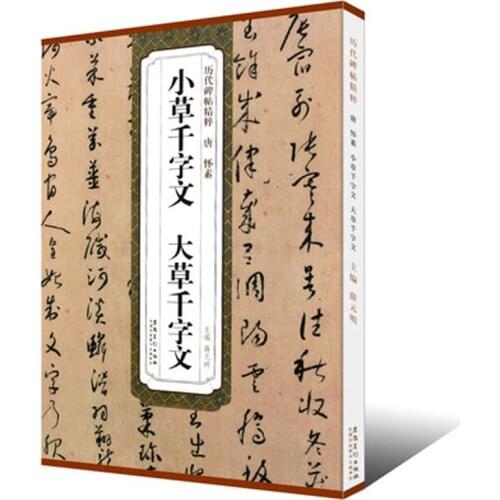 Tang Huai Su Xiao Cao Qian Zi Wen Da Cao Qian Zi Wen Cursive script Cao Shu brush Calligraphy Copybook for Adults Children