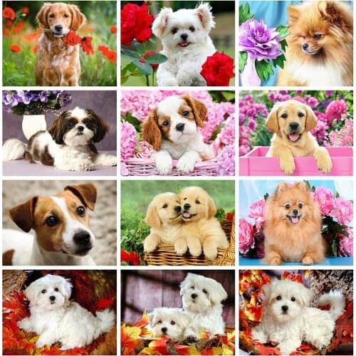 Huacan Diamond Painting Full Square Dog 5D DIY Diamond Embroidery Mosaic Animal Art Decorations Home