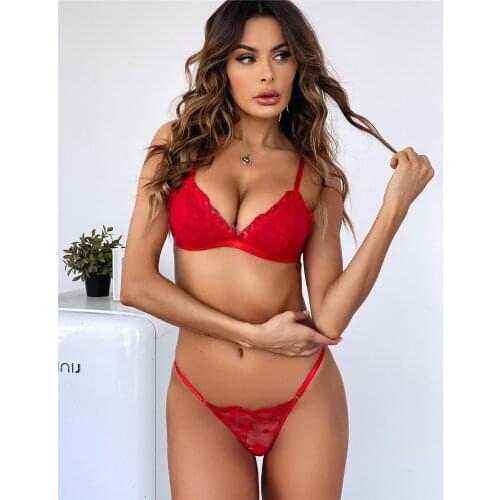 Women Sexy Lingerie Set Embroidery Transparent Ultra-Thin Bra Brief Sets Underwear Set Erotic Lingerie Lace Underwear LNE415P