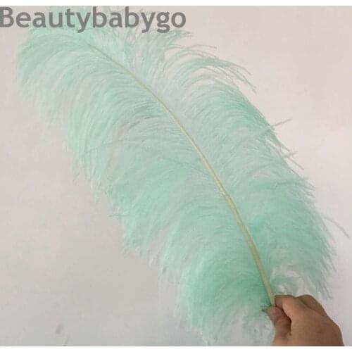 Wholesale 50pcs Mint Green Dyed 50-55cm high quality ostrich feathers 20-22inch ostrich plumes for wedding centerpieces