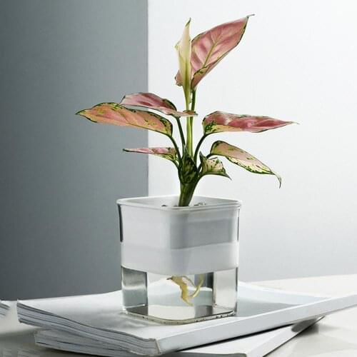 Transparent Automatic Water Absorption Square Flowerpot Plant Pot Container
