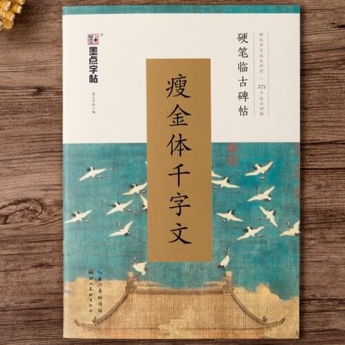Calligraphy Copybooks Chinese Hard Pen Bastic Stroke Character Explaination Copybook Beginner Shou Jin Ti Entrance Copybooks