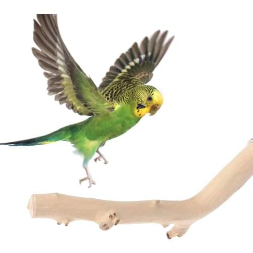 2pcsParrot Bird Standing Stick Wood Pole Parrot Perches Birds Stand Toy Natural Wood Perch Toy Grinding Toy Bird Cage Accessory