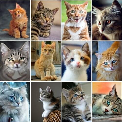 DIY 5D Diamond Embroidery Cartoon Cat Animal Diamond Painting Cross Stitch Square Resin Mosaic Kits Wall Art Gift Home Decor