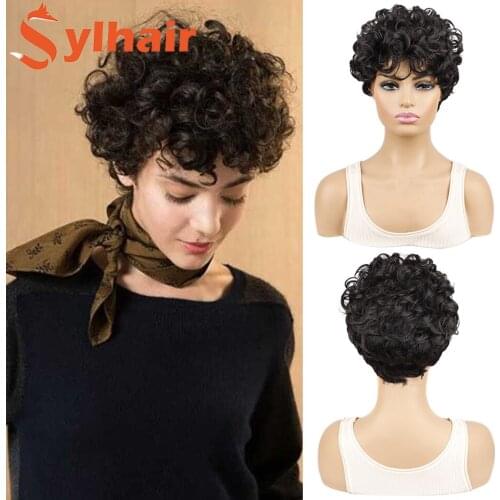 Sylhair Short Curly Synthetic Wigs Heat Resistant For Women Jerry Curl Wigs Fiber Natural Black Daily&Party Wig