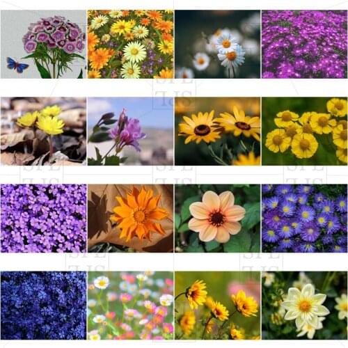 Wild Flowers Diamond Painting Spring Color Blossom Home Decoration Handmade Paste Drill Embroidery DIY Gift Wall Picture Art