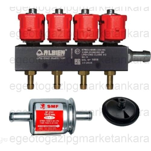 Injector Lpg Cng Gpl Injector Albien 4 Cylinders Autogas Injector 3 Ohm High Speed/Quality 4 Cyl. Rail Injector