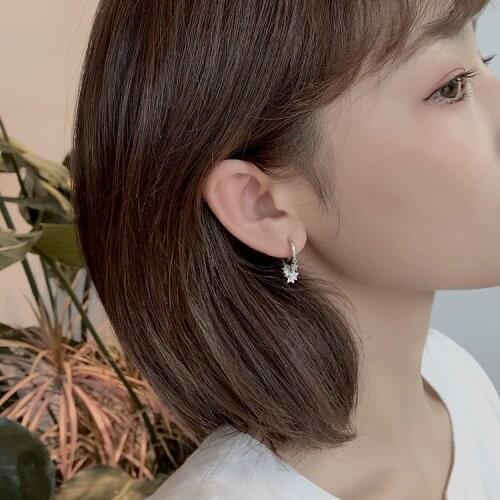 REETI 925 Sterling Silver Earrings Star Drop Earrings For Women Gift Earings Fashion Jewelry Gift