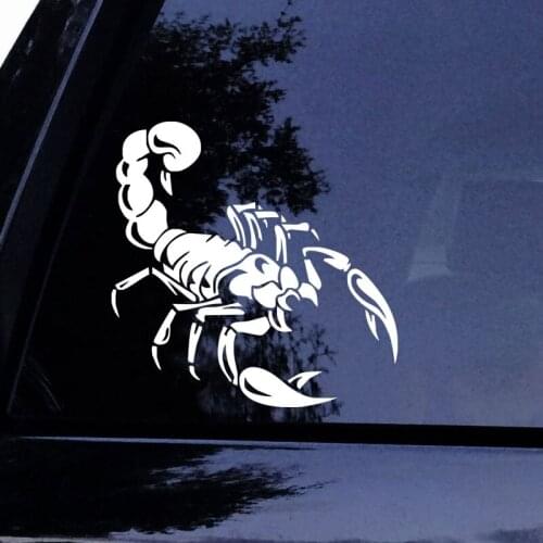 Scorpion window Sticker Vinyl window Decals Decoration Accessories 14x14cm
