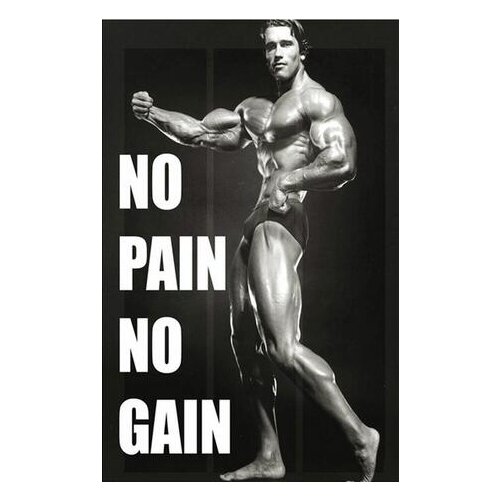 More style Arnold Schwarzenegger Bodybuilding Inspirational Quote Art Film Print Silk Poster Home Wall Decor 24x36inch