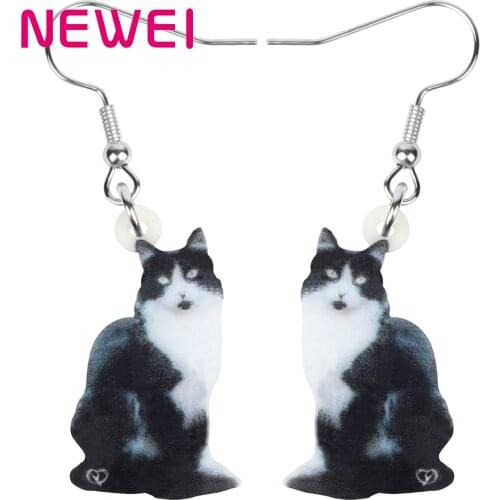 Newei Acrylic American Maine Coon Cat Earrings Lovely Kitten Pet Animal Dangle Drop Jewelry For Women Kids Friend Birthday Gift