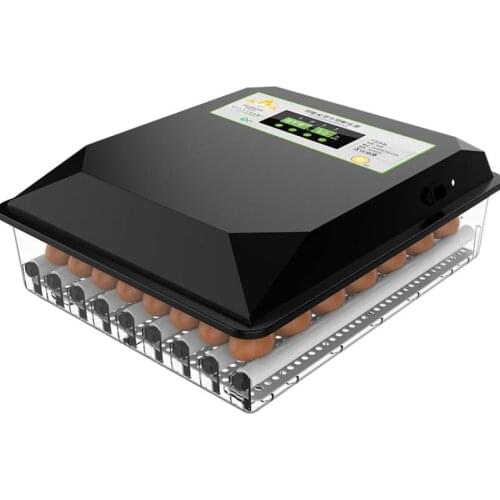 Domestic egg incubator small egg incubator quail chick incubator warming machine duck goose incubation equipment