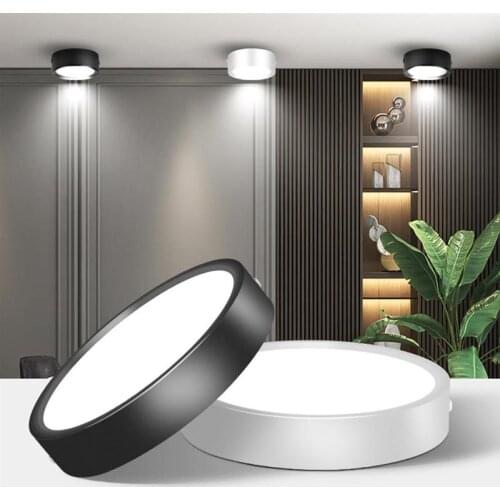 Nemobub Spotlights