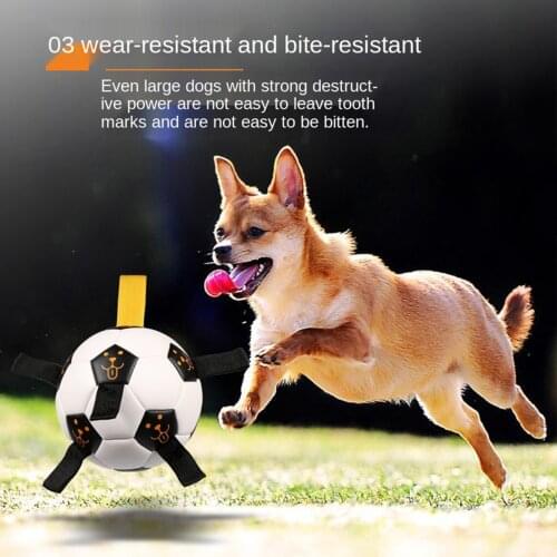 Pet Dog Soccer Football Interactive Training Fun Garden Water Fetch with Grab Taps Ball Toy with Soccer Pump Outdoor Training