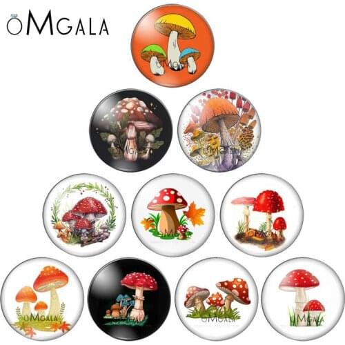 Cartoon Mushroom Flower Plants Pattern 10pcs 12mm/14/16/18mm/20mm/25mm Round photo glass cabochon demo flat back Making findings