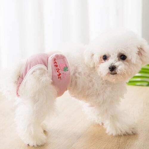 Pecute Briefs For Dogs