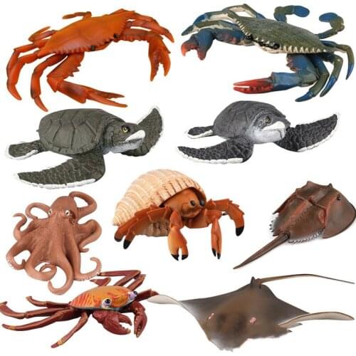 1pcs Shell Fish Simulation Marine Model Children Toys PVC Christmas Gifts