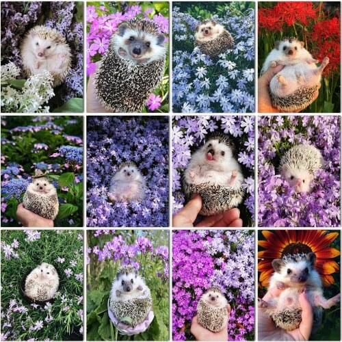 5D Diy Diamond Painting Animal Hedgehog 3D Diamond Embroidery Flower Cross Stitch Resin Rhinestone Diamond Mosaic Art Home Decor