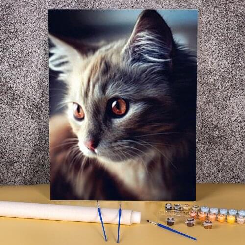 Animal Cat Coloring By Numbers Painting Set Oil Paints 40*50 Paiting By Numbers Wall Decoration For Children Handicraft