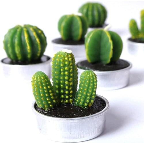 6Pcs/Set 3D Meat Cactus Plant Plaster Mold Home Decoration Mold Succulent Cactus Simulator Forms Candle Candles Decorative G4O6