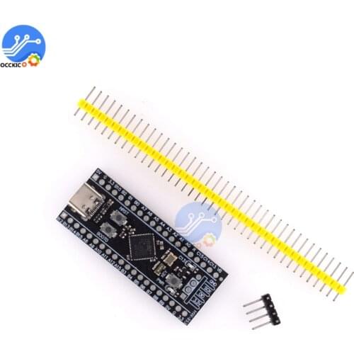 Type-C STM32F411CEU6 STM32F4 Mini System Development Board 128KB SRAM SWD USART Interface For Arduino Learning DIY kit