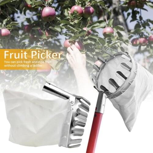 Tree Pruner Fruit Picker Head Basket Fruits Catcher Durable Convenient Picking Tool Iron Easy To Use Practica For Home Farm Etc