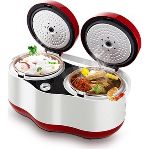Multifunctional Double Rice Cooker 2*2L Smart Multi Cooker Household Appointment Mini Timing Rice Cooker Double Tank