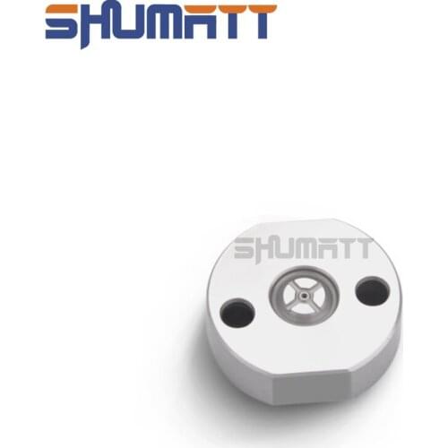 China Made New Common Rail Injector Vavle Plate 19# For Injection 095000-5600 095000-5471