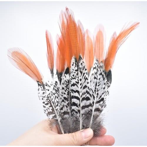 Natural Lady Amherst Pheasant Feathers for Crafts 5-30cm/2-12" Feather Decor Craft Feathers Decoration Plumas Carnaval Plumes