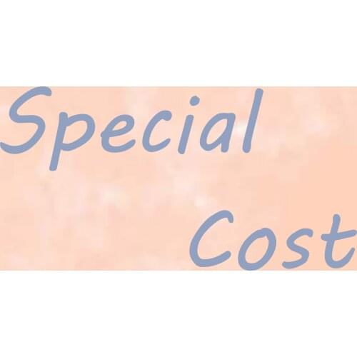 Special Cost Customized fees Or Shipping Cost