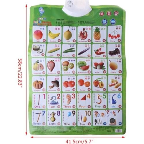 Electronic Interactive Alphabet Wall Chart, Talking ABC & 123s & Music Poster, Best Educational Toy for Toddler