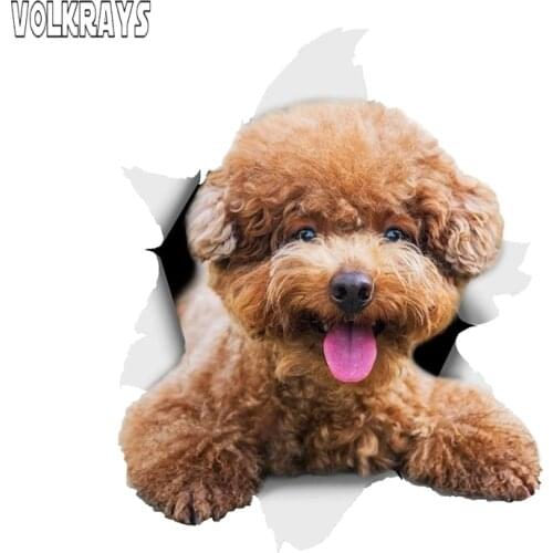 Volkrays 3D Smiling Brown Poodle Dog Car Sticker for AutoWa Ll Toilet Kids Room Luggage Skateboard Laptop Decal PVC,15cm*15cm