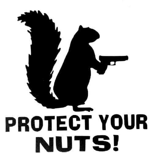 Car Stickers Fun Protect Your Nuts Squirrel Police Army Marines Car Stickers and Sticker Decals Black/white, 13cm*13cm