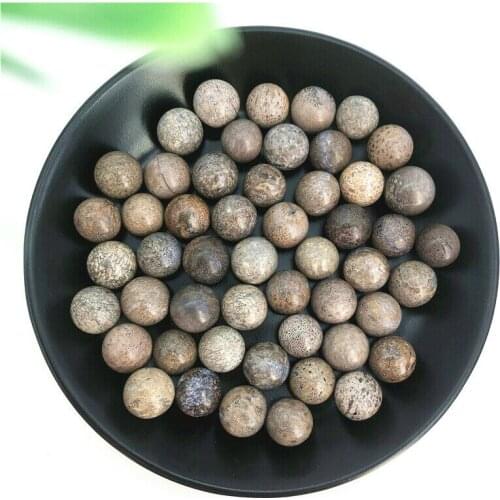 Dinosaur Bone Fossil Ball Natural Fossil Stone Sphere Smooth Polished Healing Natural Stones and Minerals
