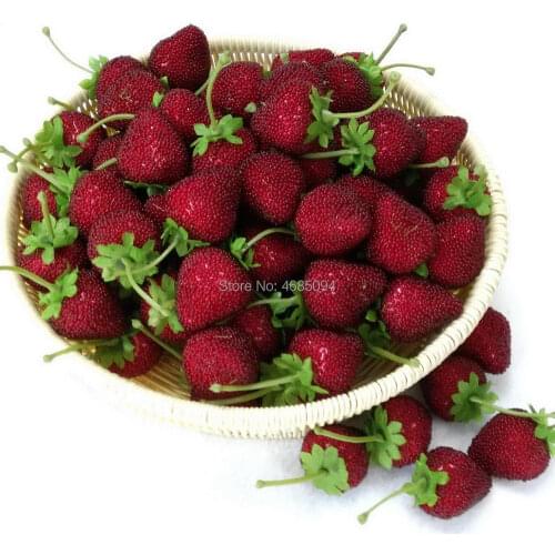 Gresorth 12pcs Artificial Lifelike Strawberry Decoration Fake Fruit Home Kitchen Party Christmas DIY Photo Props