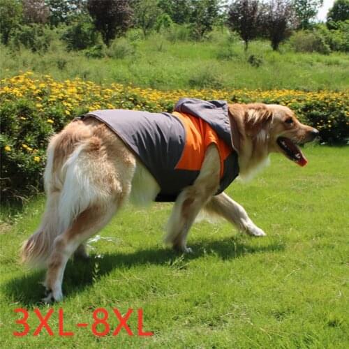 New Autumn Winter Dog Clothes For Large Dogs Girl Boy Dog Coat Labrador Fleece Thick Outdoors Jacket Outfit Pet Clothing