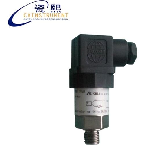 Low Cost Pressure Sensor With 0.1~20 Mpa Test Range 0.5% Accuracy and IP65 Protect Grade Ceramics Core Liquid Pressure Sensor